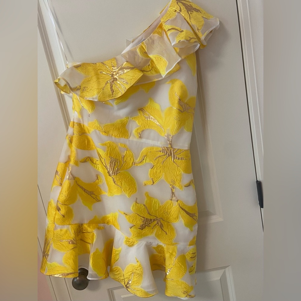 Milly Nilla Jacquard Dress